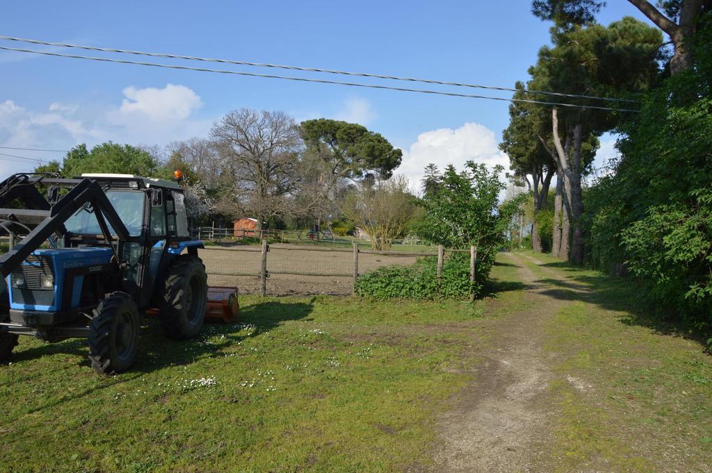 Farm stay Agriturismo Tenuta Buon Respiro
